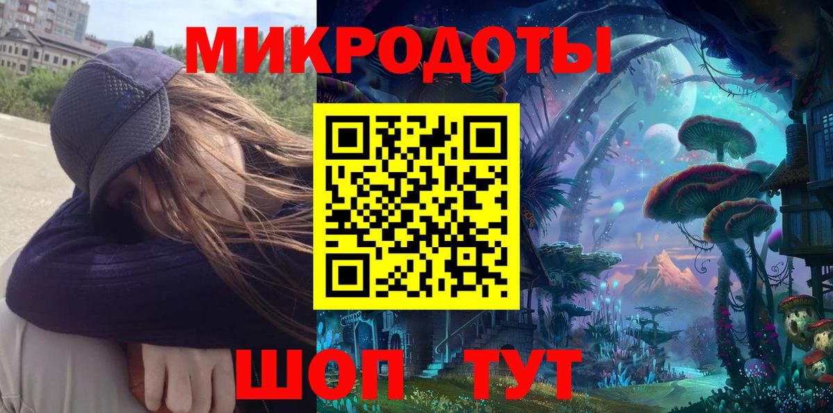 Галлюциногенные грибы Psilocybine cubensis Дубна